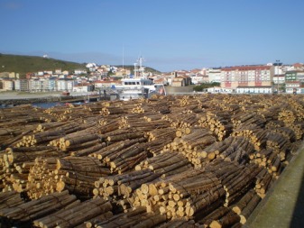 Madeira no porto
